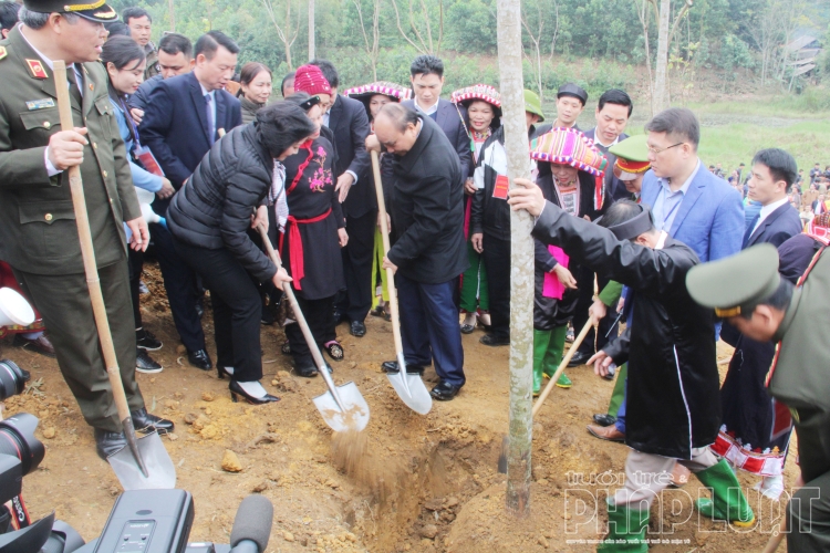 Thủ tướng phát động tết trồng cây tại Yên Bái dịp đầu xuân Canh Tý 2020