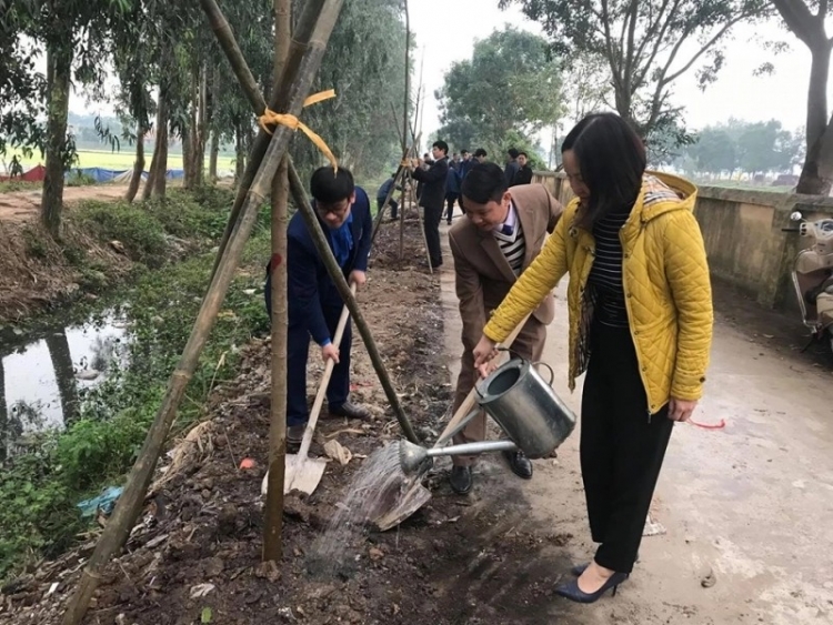 tuoi tre thanh tri huong ung tet trong cay doi doi nho on bac