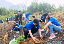 ra quan thang thanh nien voi nhieu hoat dong y nghia tai bac kan