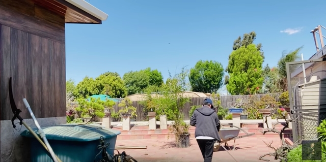 e show thoi covid 19 bang kieu o nha lam nong dan lao dong chan tay