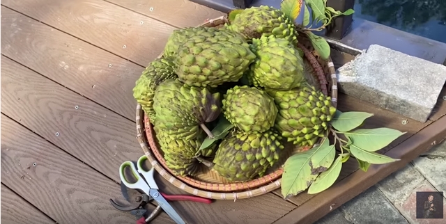 e show thoi covid 19 bang kieu o nha lam nong dan lao dong chan tay