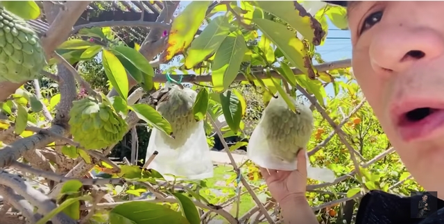 e show thoi covid 19 bang kieu o nha lam nong dan lao dong chan tay