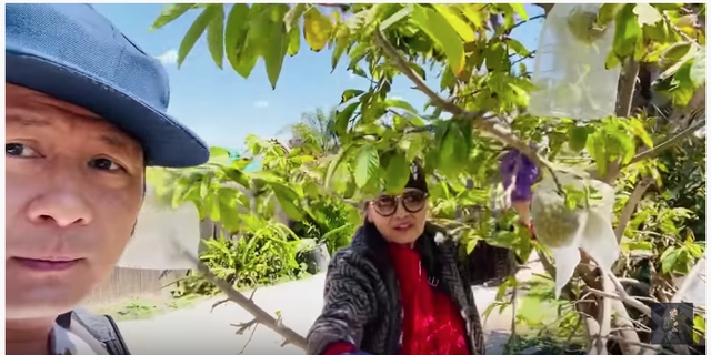 e show thoi covid 19 bang kieu o nha lam nong dan lao dong chan tay