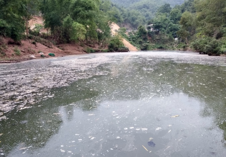 Bắt quả tang Công ty Hapaco Đông Bắc xả thải trực tiếp ra môi trường