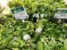 Nhiều siêu thị sử dụng lá chuối để gói thực phẩm