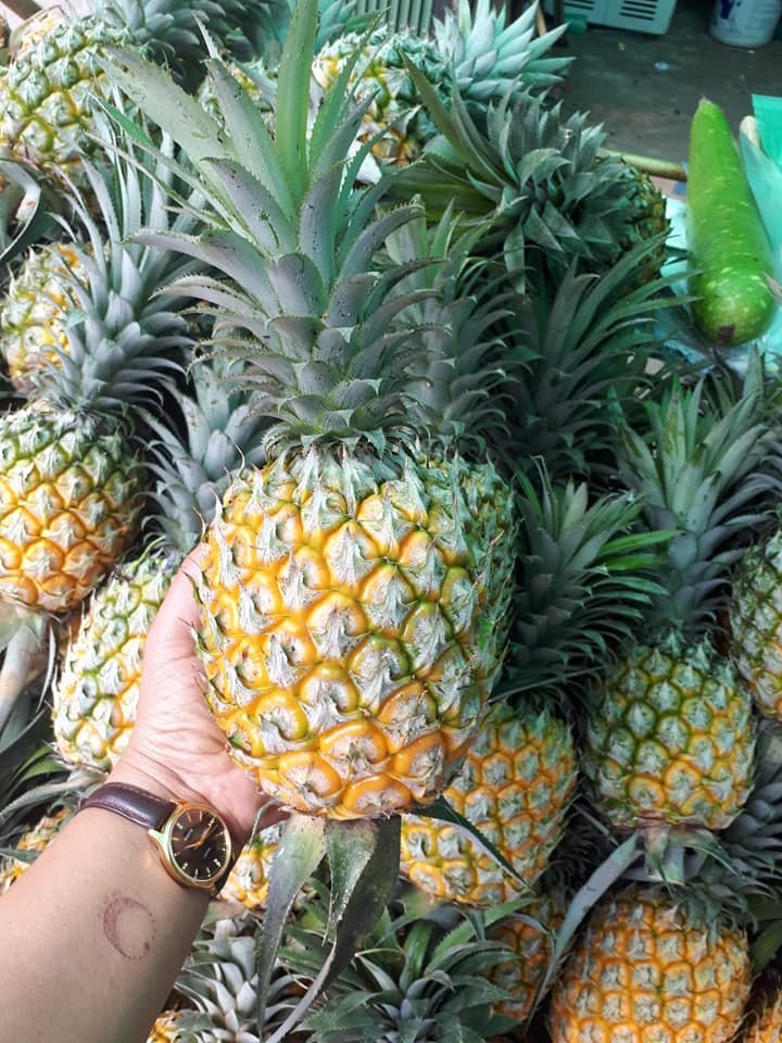 nong dan lao cai khoc do meu do vi dua duoc mua nhung mat gia