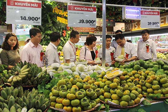 Sơn La xuất khẩu nông sản đạt gần 26 triệu USD trong 3 tháng đầu năm