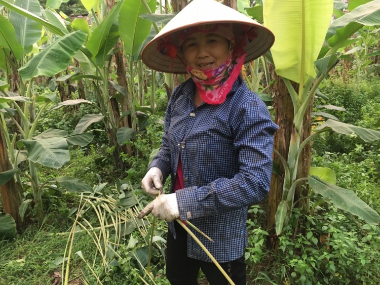 nguoi ha noi kiem bac trieu moi ngay tu chien dich la chuoi boc thuc pham