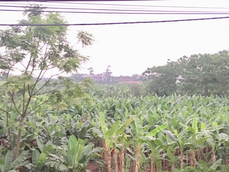 nguoi ha noi kiem bac trieu moi ngay tu chien dich la chuoi boc thuc pham