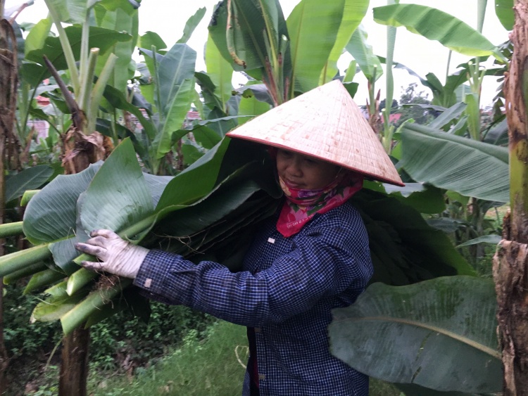 nguoi ha noi kiem bac trieu moi ngay tu chien dich la chuoi boc thuc pham