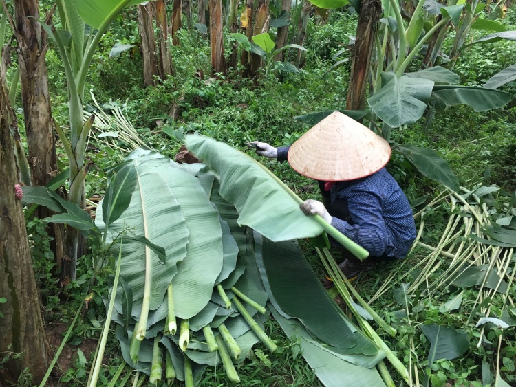 nguoi ha noi kiem bac trieu moi ngay tu chien dich la chuoi boc thuc pham