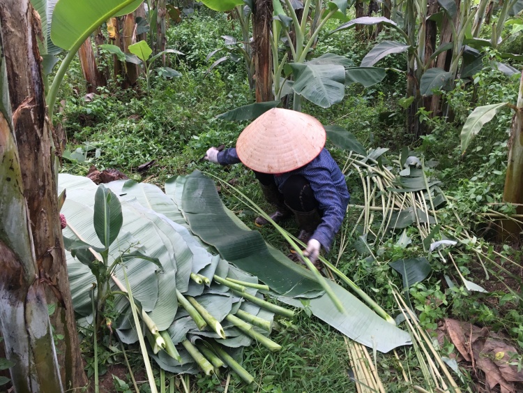 nguoi ha noi kiem bac trieu moi ngay tu chien dich la chuoi boc thuc pham