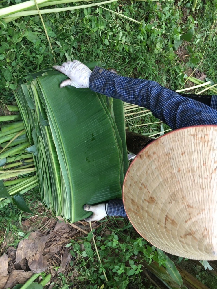 nguoi ha noi kiem bac trieu moi ngay tu chien dich la chuoi boc thuc pham