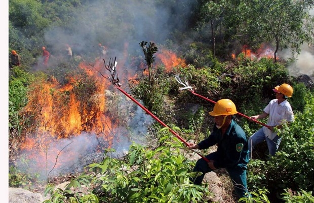 Chủ tịch tỉnh Yên Bái chỉ đạo ứng phó với nguy cơ cháy rừng