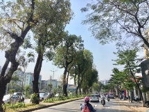 Đường Láng "khoác" bộ áo xanh thân thiện với môi trường