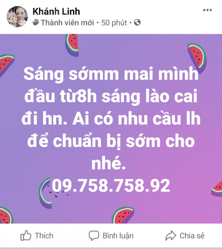 xe co xe du kiem bac trieu bat chap quy dinh cach ly xa hoi doc tuyen cao toc noi bai lao cai