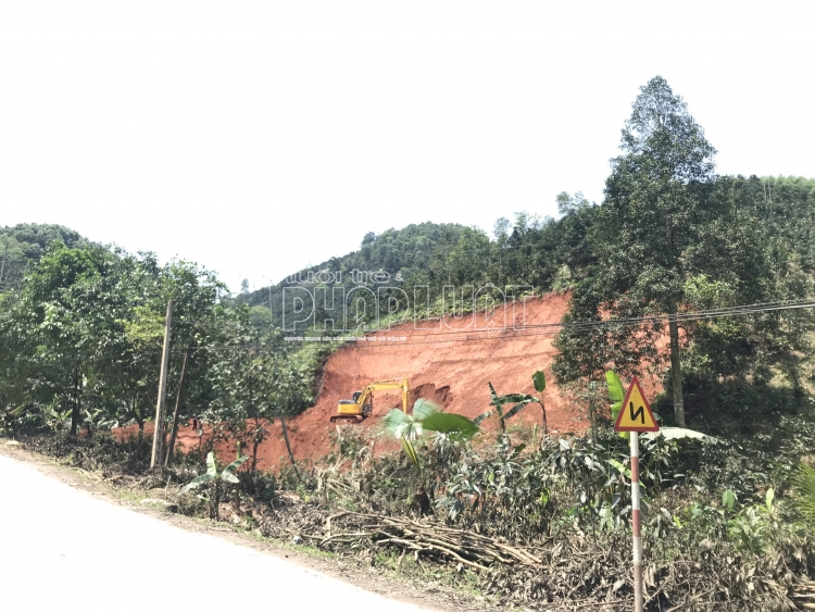 Yên Bái: Một người dân tự ý san gạt đất rừng bị xử phạt 2,5 triệu đồng