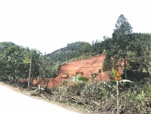 Yên Bái: Một người dân tự ý san gạt đất rừng bị xử phạt 2,5 triệu đồng