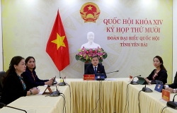 6 nguoi tre yen bai ung cu dai bieu quoc hoi khoa xv