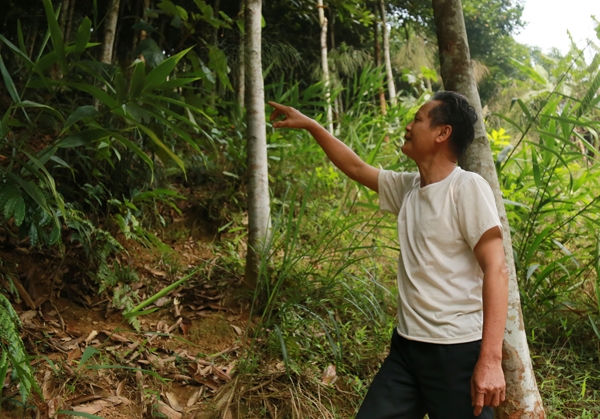 Dân khốn đốn vì rừng sản xuất bỗng dưng “biến” thành rừng tự nhiên