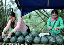 dua hau phu nilon ben re o ban vung cao lai chau