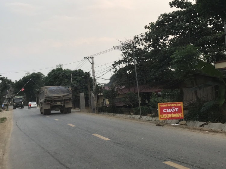 Thêm địa phương có ổ dịch mới, Yên Bái ráo riết chống dịch tả lợn châu Phi