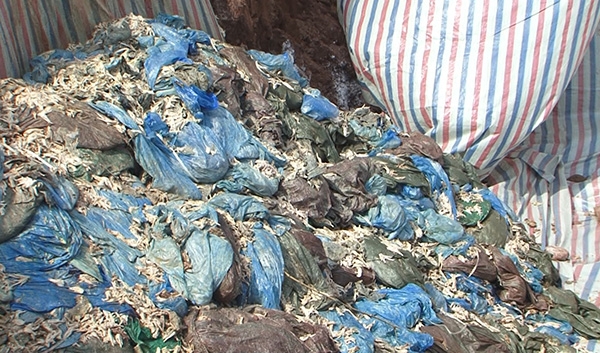 Tiêu hủy hàng chục tấn chân gà đông lạnh bị hỏng tại Điện Biên