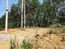 UBND TP Yên Bái và Công ty Điện lực Yên Bái sẽ giải quyết việc người dân kêu cứu vì đường điện cao áp