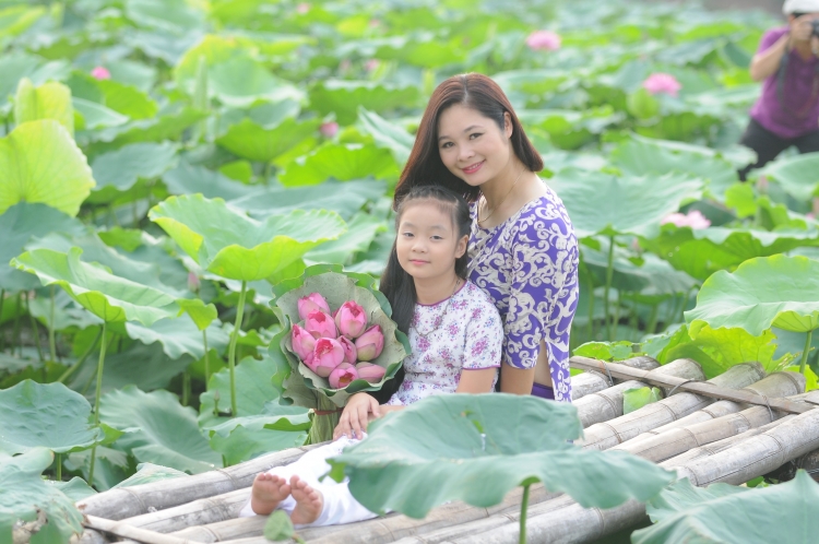 Nườm nượp du khách đổ về đầm sen Hồ Tây chụp ảnh