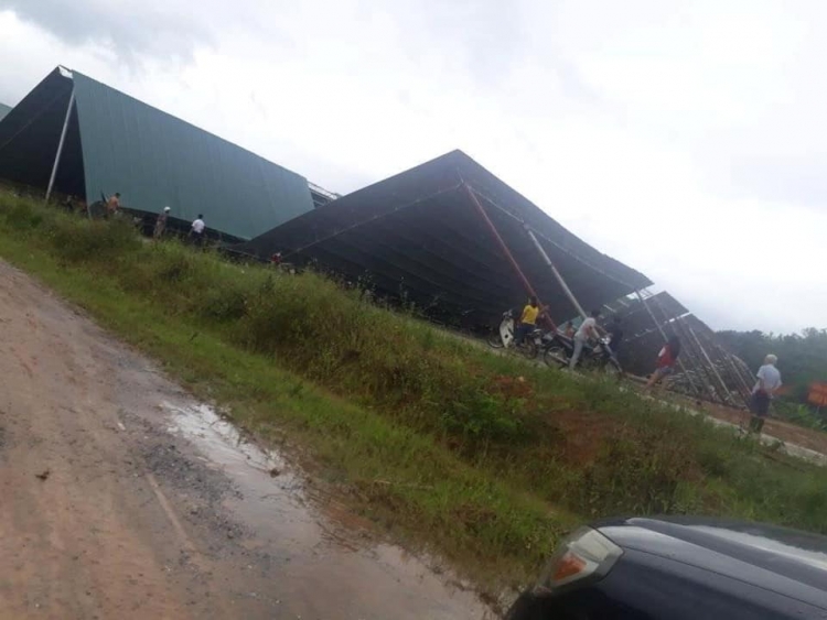 Thiệt hại cơn bão số 2 tại Yên Bái ước tính 5,6 tỷ đồng