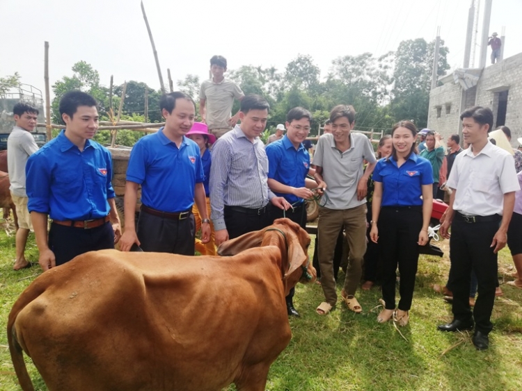 Trao 32 con bò giống hỗ trợ giảm nghèo người dân ở Thanh Hóa