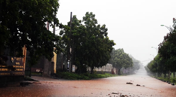 Sơn La thiệt hại nặng nề nhất ở Tây Bắc trong cơn bão số 3