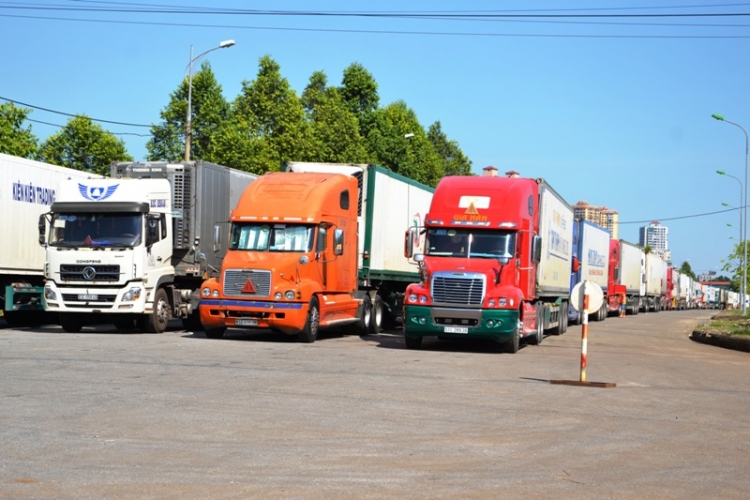 hang tram container qua thanh long nam un tac o cua khau lao cai