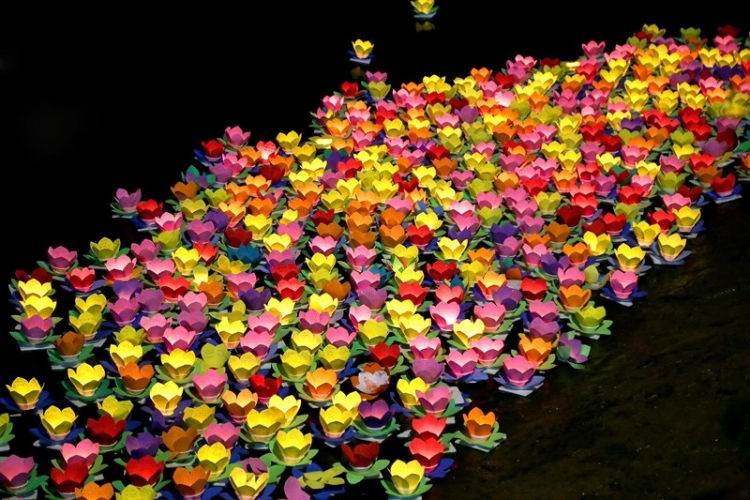 hoa dang ruc sang song sai gon trong dem vu lan