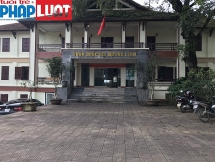 Tràn lan sai phạm trong rừng cây Sơn tra tại Vườn Quốc gia Hoàng Liên