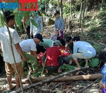 Yên Bái: Đá lăn bất ngờ làm 1 người tử vong khi đang đi bóc quế