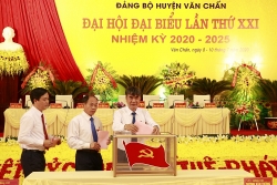 dai hoi dang bo tren co so tinh yen bai 2020 2025 11 bi thu cap uy duoc dai hoi bau truc tiep