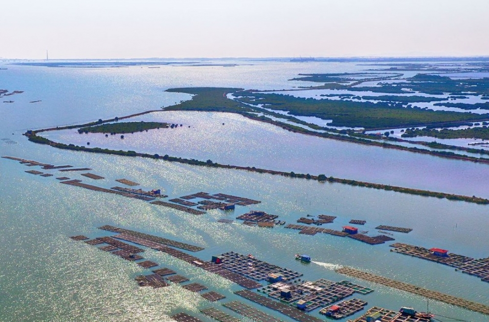  Khu kinh tế ven biển Quảng Yên, tỉnh Quảng Ninh được Chính phủ thành lập.