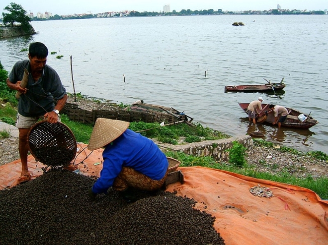 Khám phá Hồ Tây (kỳ 5): Từ lũy bảo vệ thành đến bến tắm kham pha ho tay ky 5 tu luy bao ve thanh den ben tam