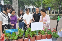 sinh vien truong bao doi nhua lay cay tren tuyen pho di bo ha noi