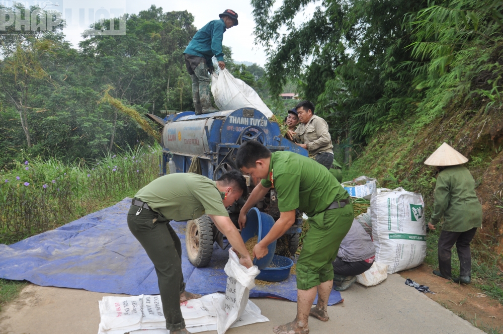 Chiến sĩ công an giúp dân gặt lúa ngày mùa