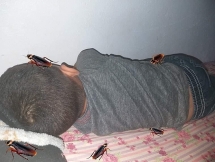 Em trai lười tắm và đây là cách “trị bệnh” hiệu quả đang được hội anh chị truyền tay nhau