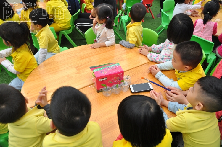 “Nửa đời nhựa” sự kiện tái chế nhựa dành cho học sinh mẫu giáo nua doi nhua su kien tai che nhua danh cho hoc sinh mau giao
