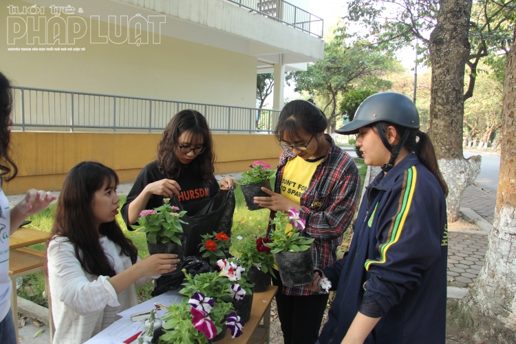 cung green product doi vai lay cay trao qua tang tre