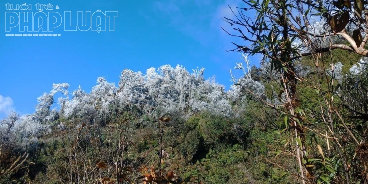 yen bai xuat hien bang gia tai hai huyen vung cao tram tau va mu cang chai