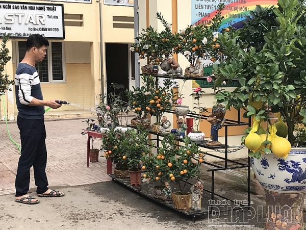 la mat va hut khach voi buoi dien hinh thoi vang in chu tai loc