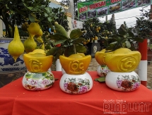 Lần đầu có bưởi Diễn hình thỏi vàng in chữ Tài - Lộc