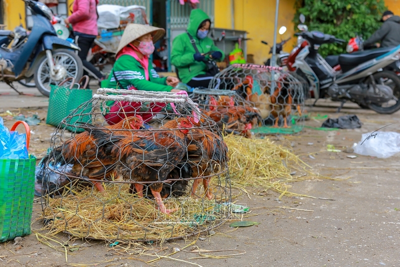 Hải Dương: Nhộn nhịp chợ Tết ngày cuối năm