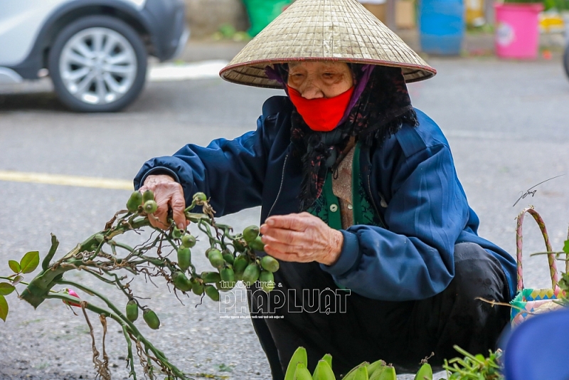 Hải Dương: Nhộn nhịp chợ Tết ngày cuối năm