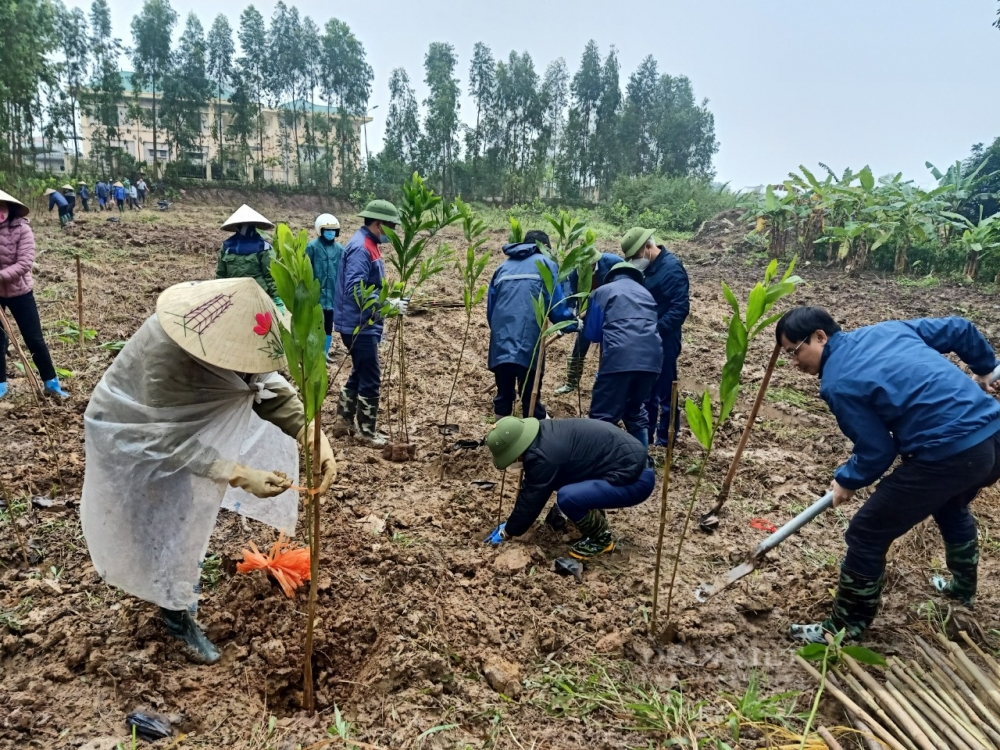 Hải Dương: Phát động Tết trồng cây tại Chí Linh